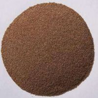 上海夏季草籽播種最佳時間，2020年5月初到6月初，百慕大草籽什么時候播種，夏天草坪什么時候播種？