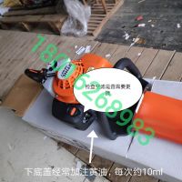 上海浦東，綠化割草，修剪旺季，注意綠籬機，草坪機，割灌機 日常保養(yǎng)